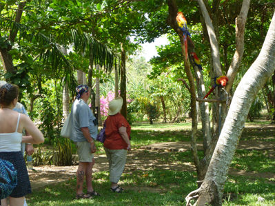 Turistas