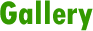 Gallery El Manantial